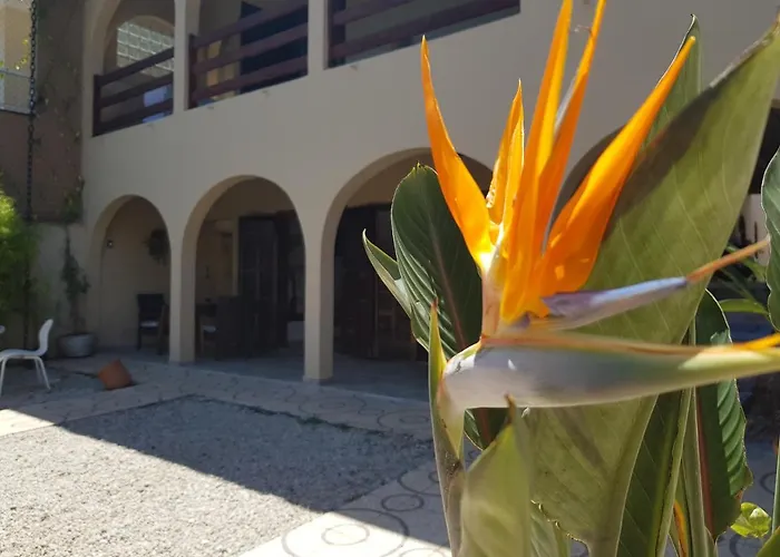 Santo Quintal Hostel Ubatuba